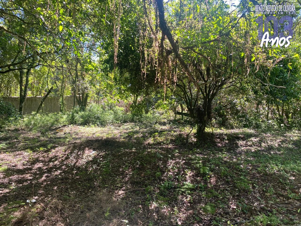 Terreno, 9750 m² - Foto 4