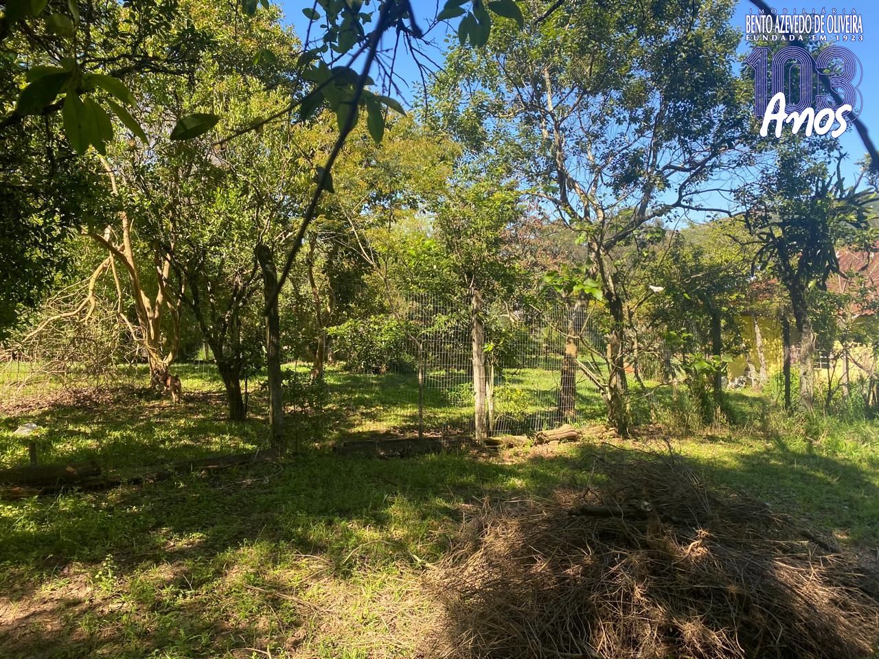 Terreno, 9750 m² - Foto 5