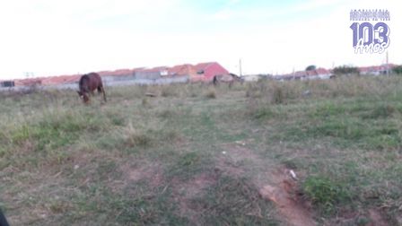 Terreno, 150 m² - Foto 41