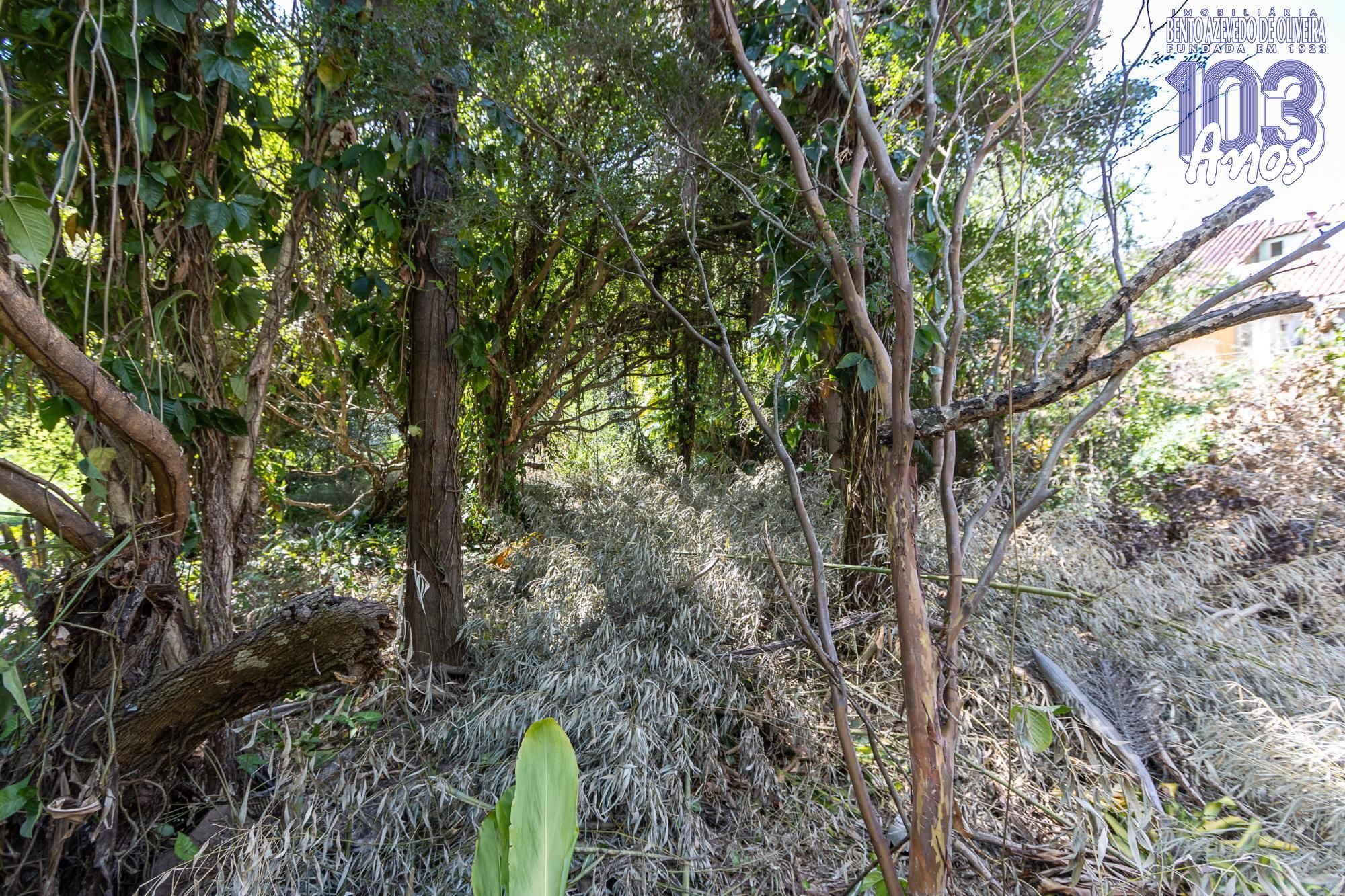Terreno, 1 m² - Foto 13