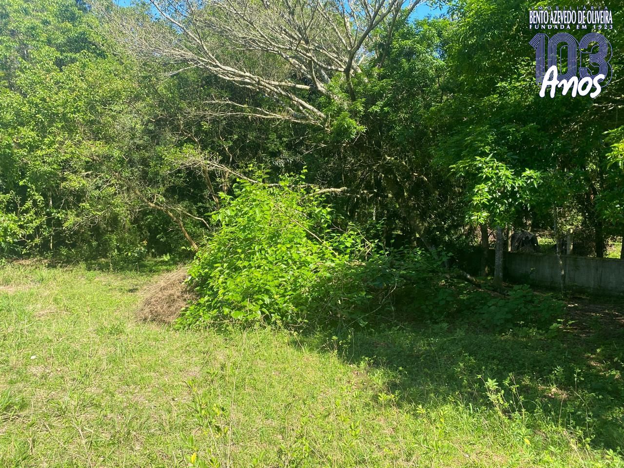Terreno, 9750 m² - Foto 15