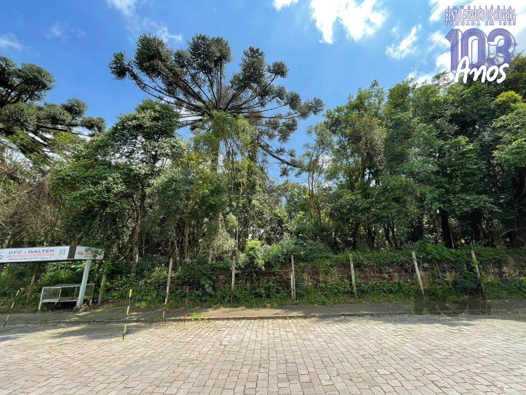 Terreno, 1 hectares - Foto 1
