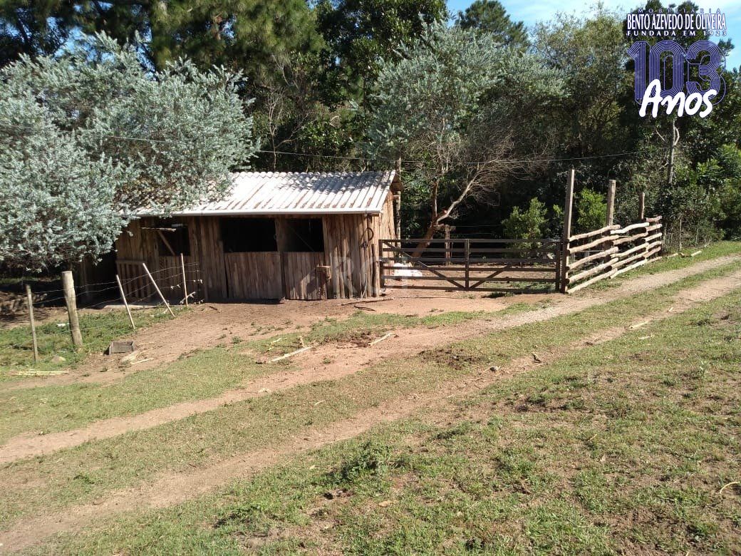 Sítio, 4 quartos, 8 hectares - Foto 33