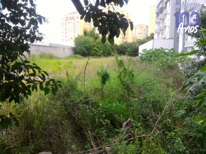 Terreno, 2452 m² - Foto 2