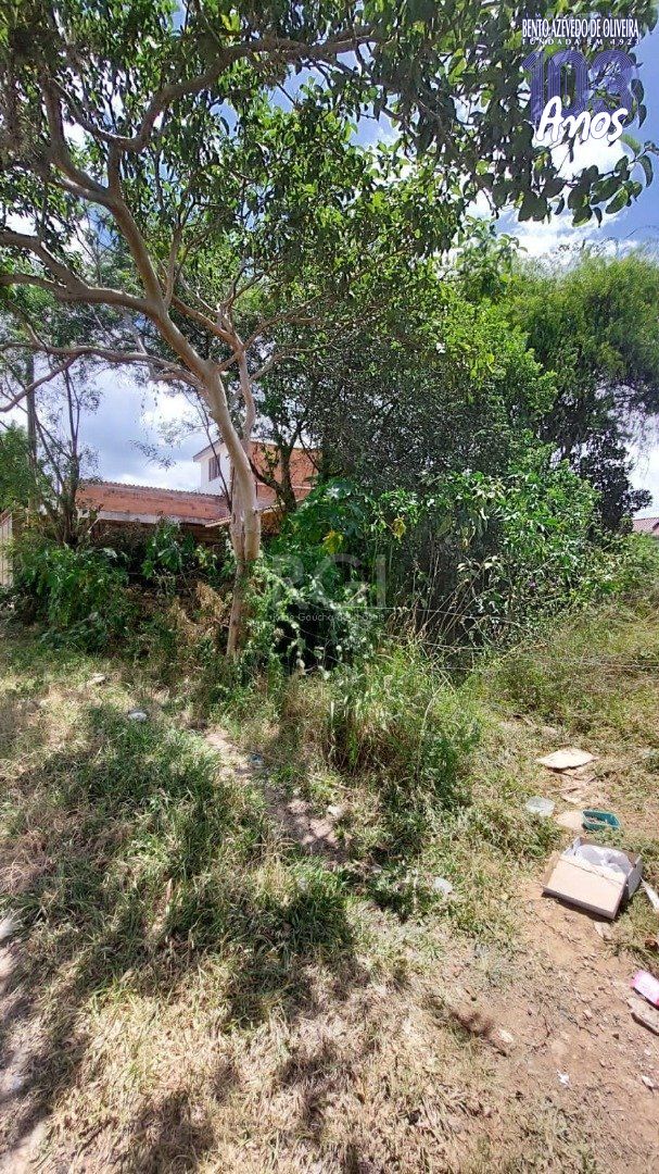 Terreno, 282 m² - Foto 4