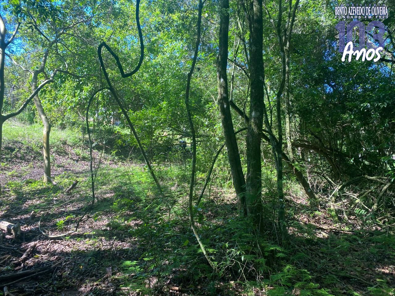 Terreno, 9750 m² - Foto 18