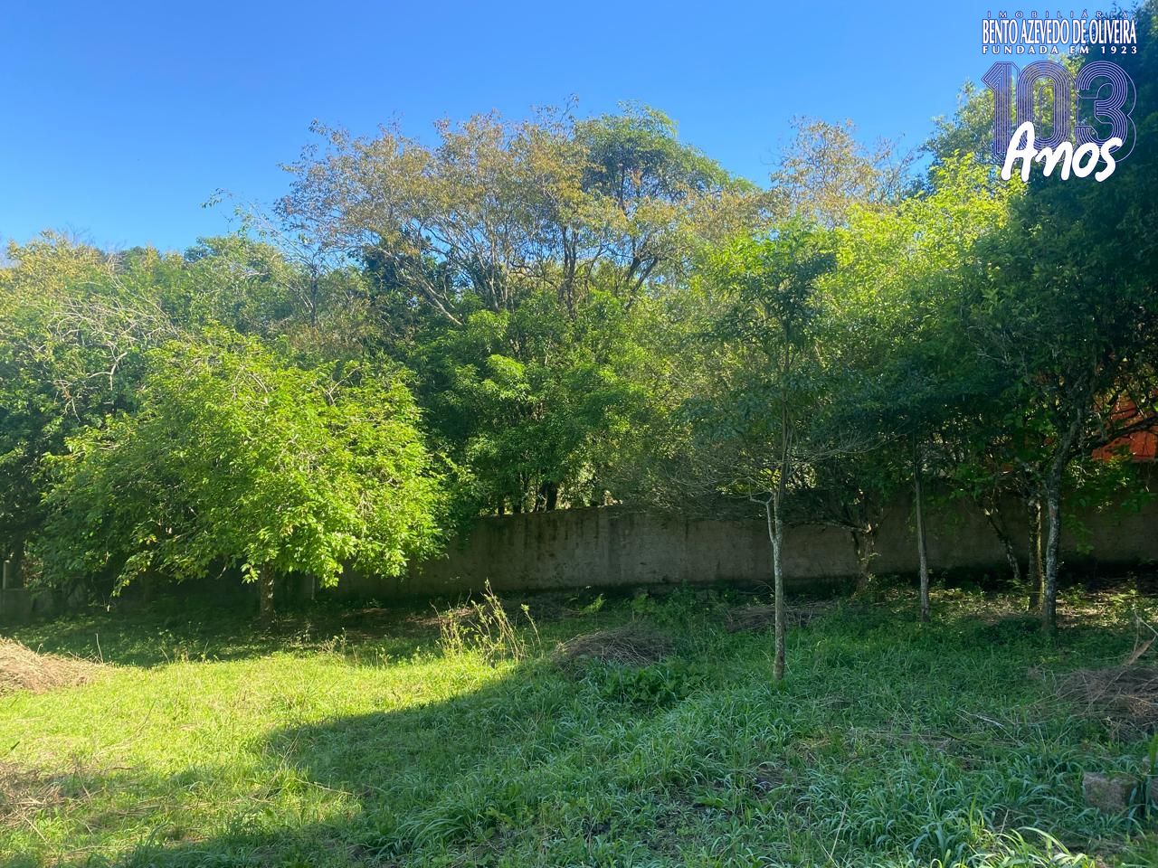Terreno, 9750 m² - Foto 9