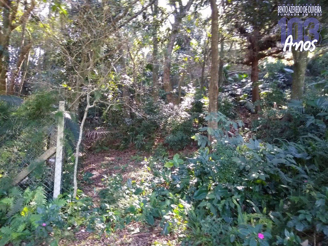 Terreno, 3032 m² - Foto 21