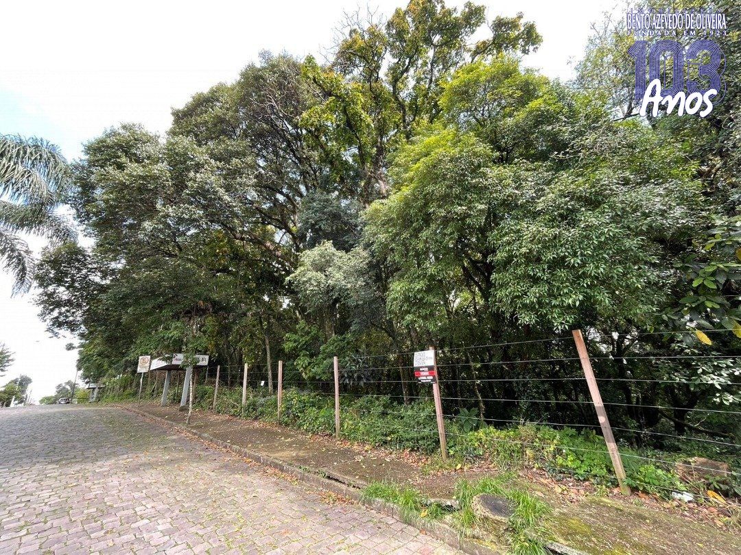 Terreno, 1 hectares - Foto 2