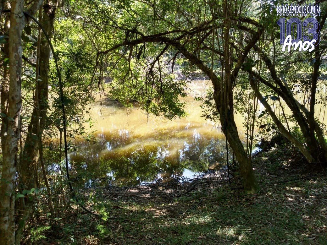 Sítio, 4 quartos, 8 hectares - Foto 4