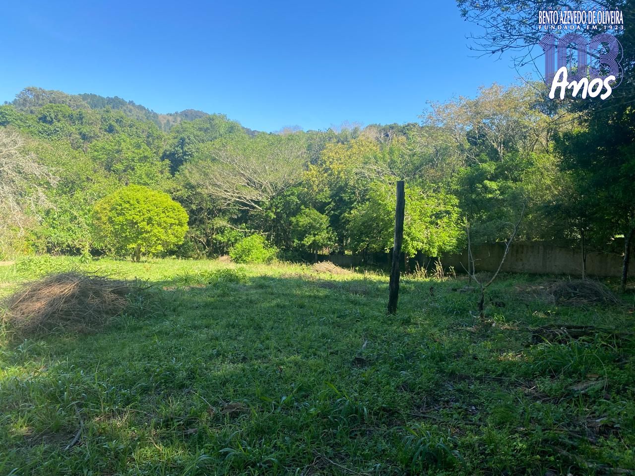 Terreno, 9750 m² - Foto 6