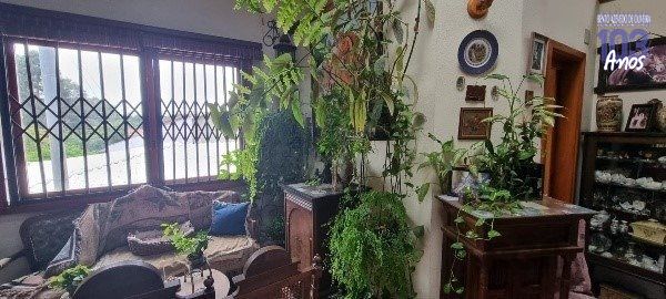 Casa, 4 quartos, 360 m² - Foto 4