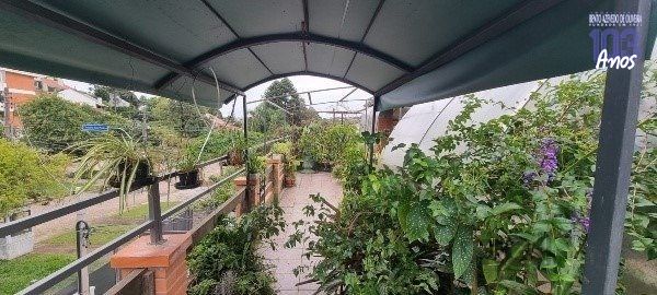 Casa, 4 quartos, 360 m² - Foto 14