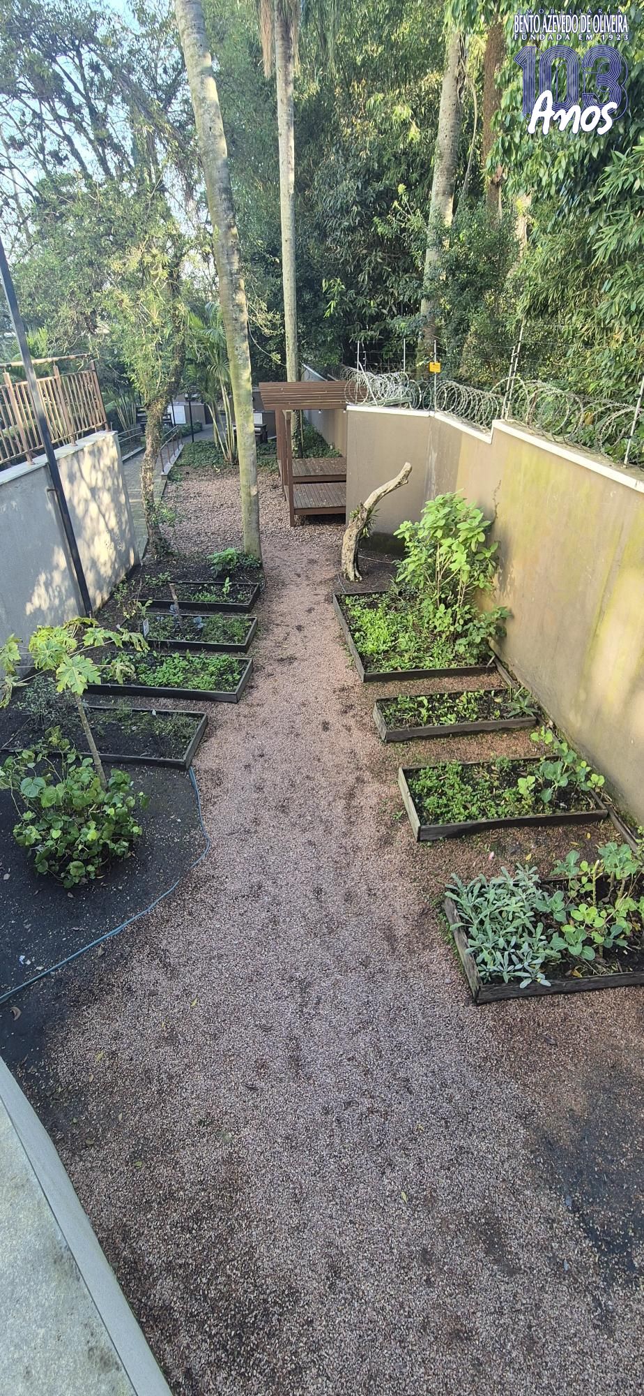 Horta Comunitária