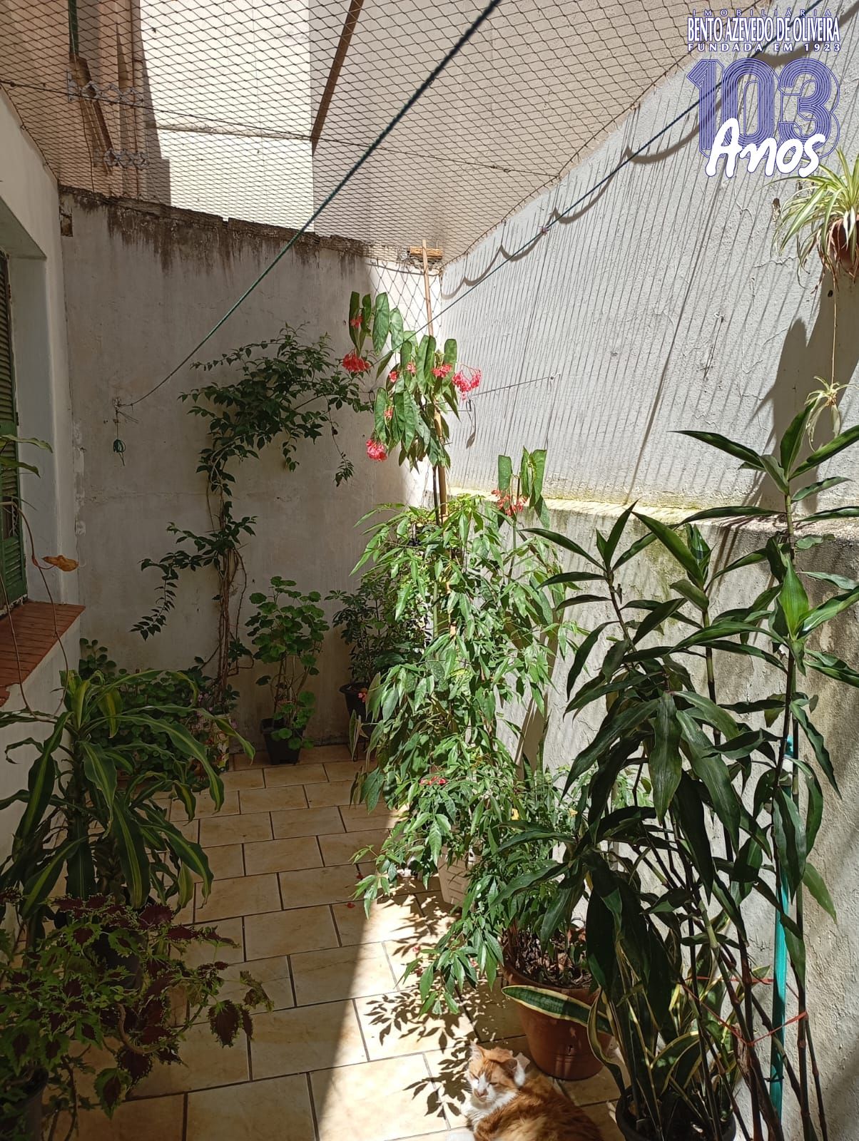 apartamento-patio
