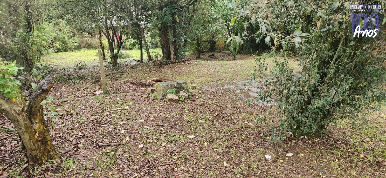 Terreno, 1600 m² - Foto 10