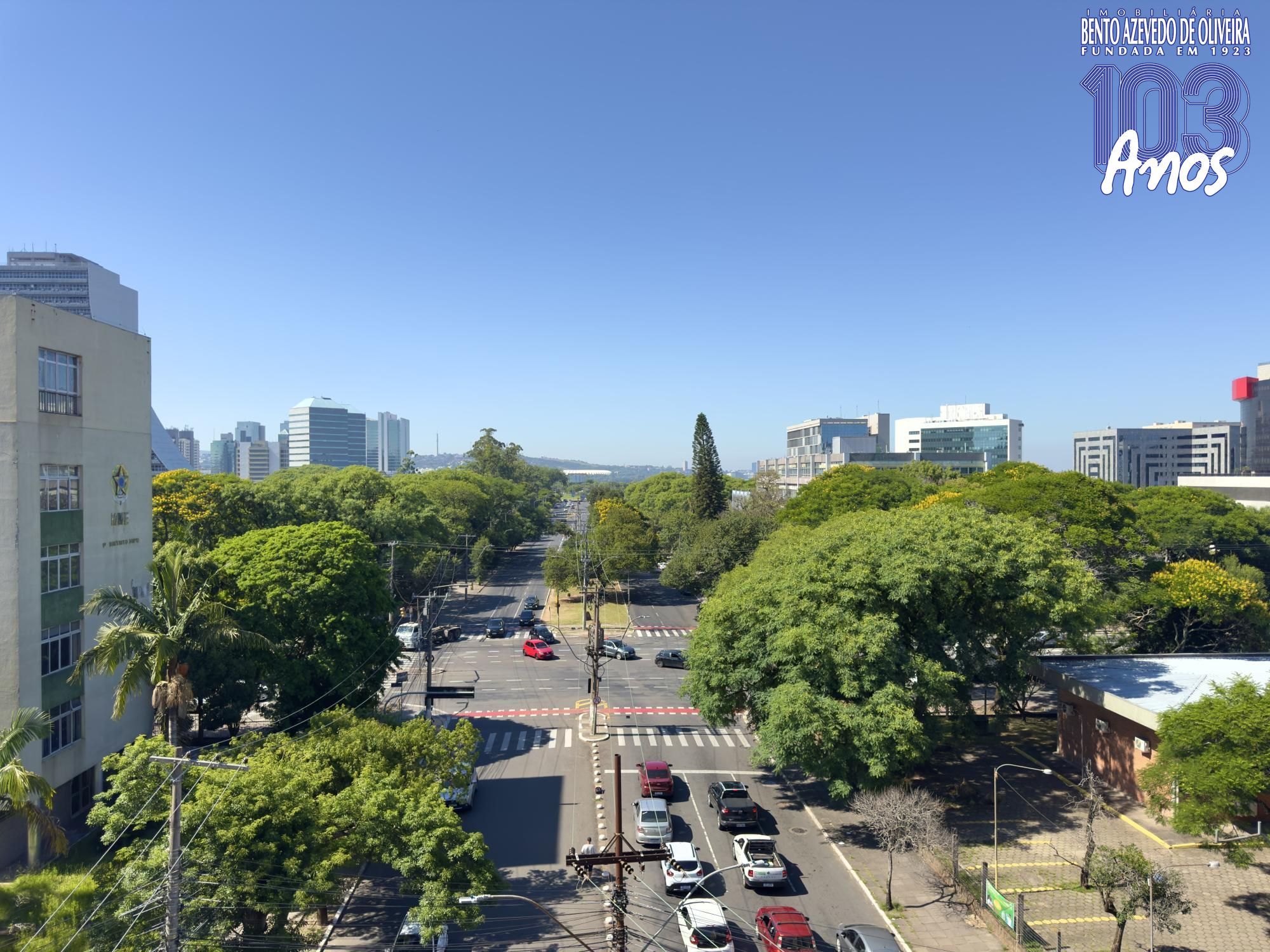 Vista
