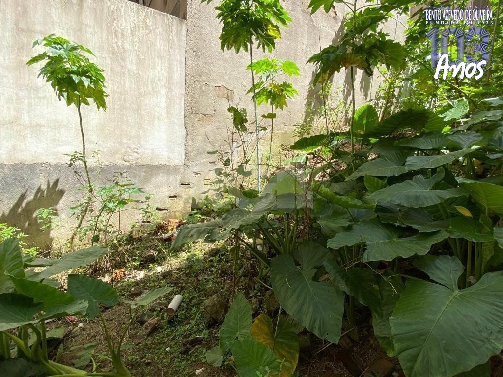 Terreno, 217 m² - Foto 7