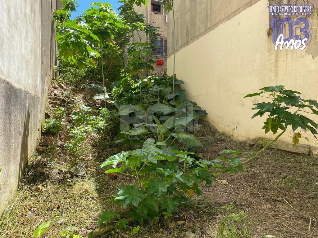 Terreno, 217 m² - Foto 3