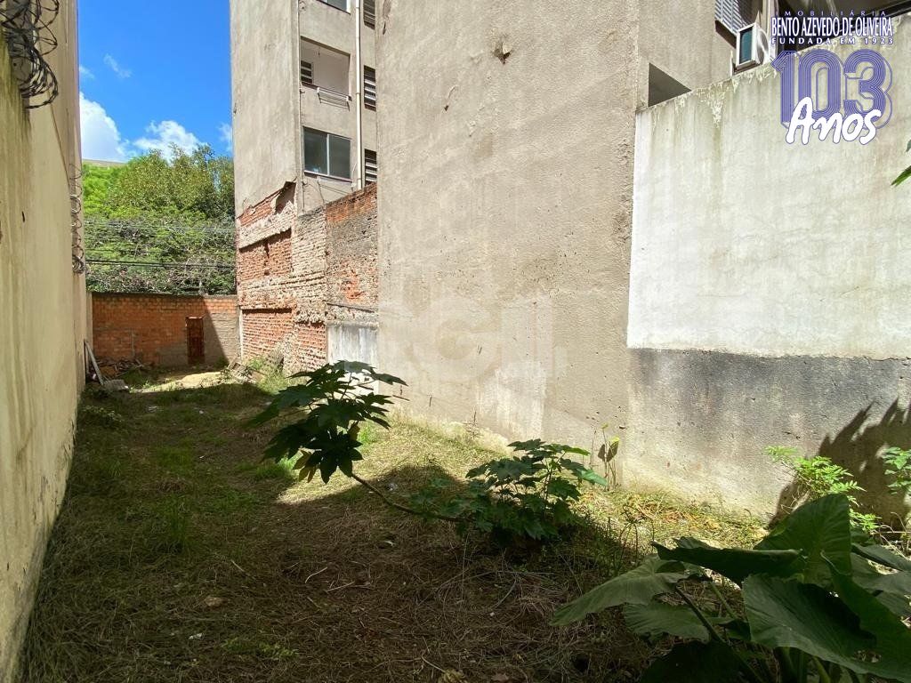 Terreno, 217 m² - Foto 6