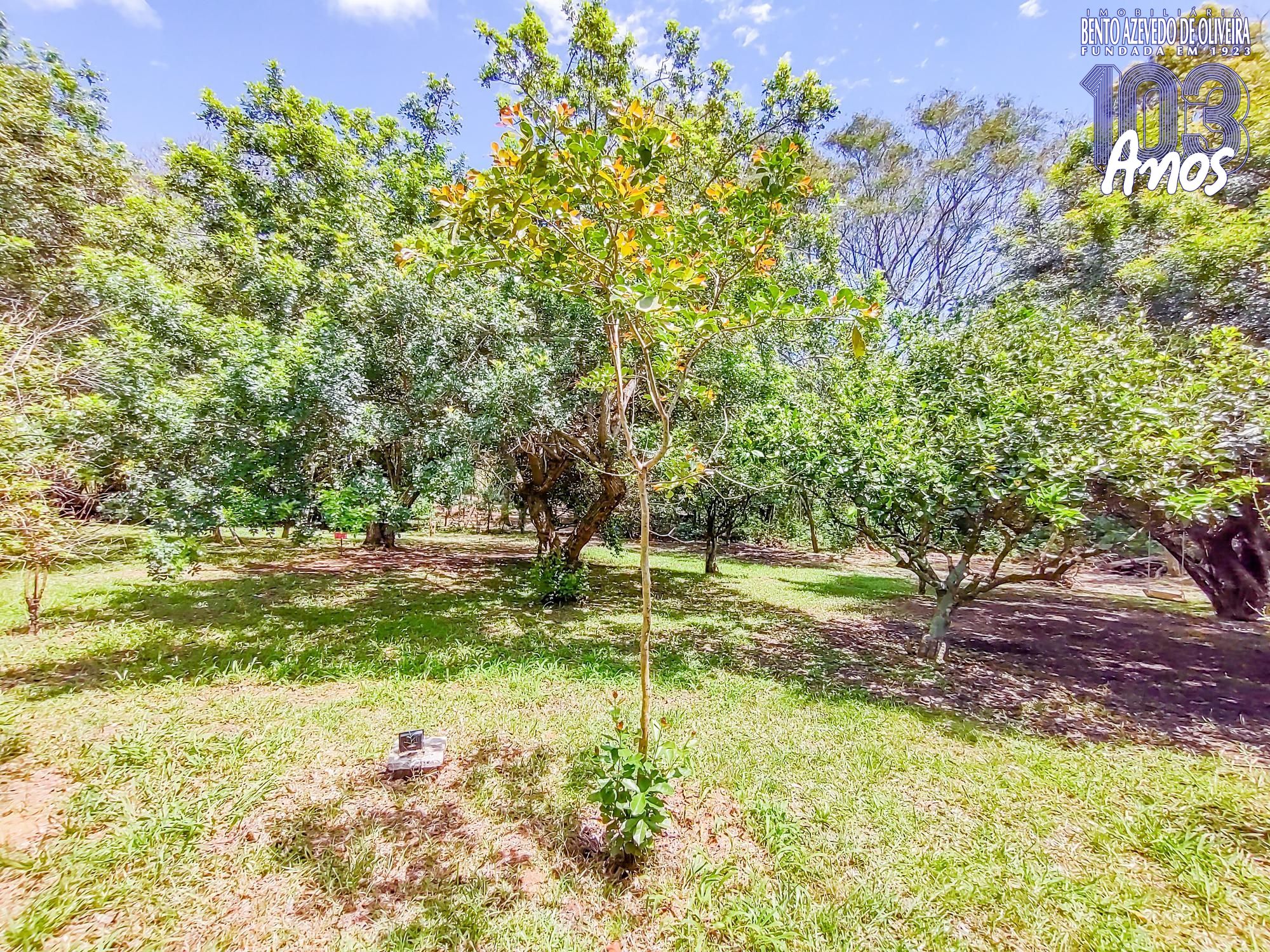 Terreno, 122 m² - Foto 17