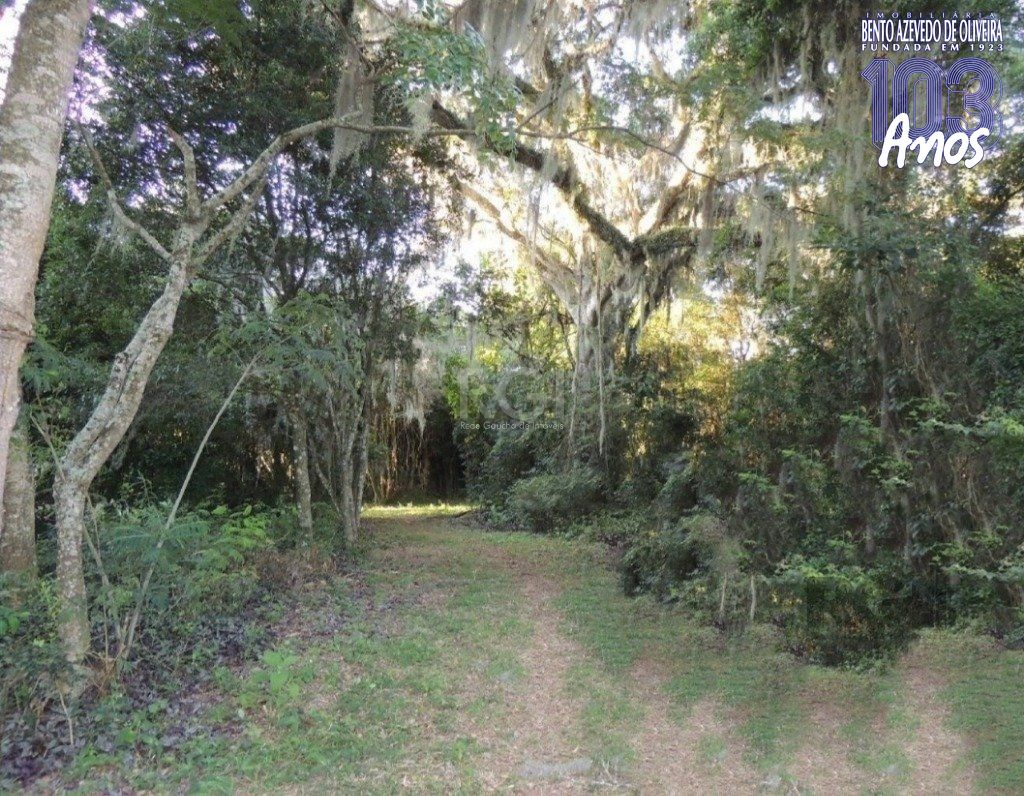 Chácara, 2 quartos, 2 hectares - Foto 33