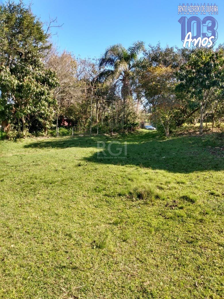 Terreno, 4 hectares - Foto 3