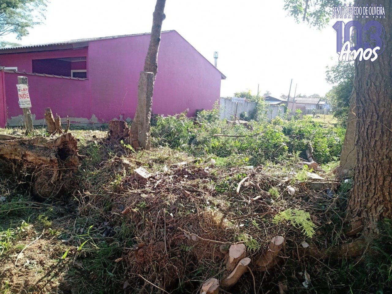 Terreno, 300 m² - Foto 7