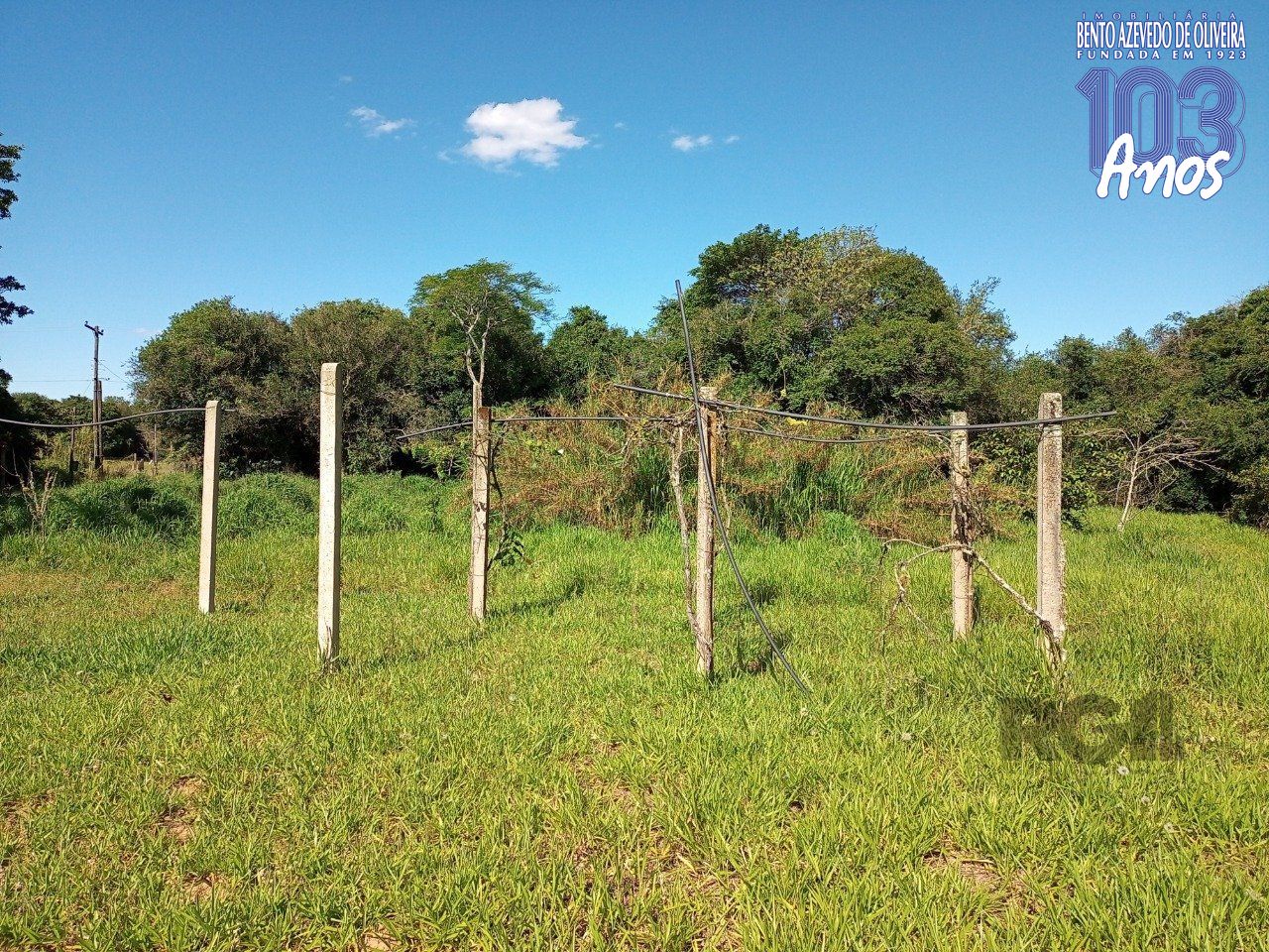 Chácara, 2 quartos, 2 hectares - Foto 60