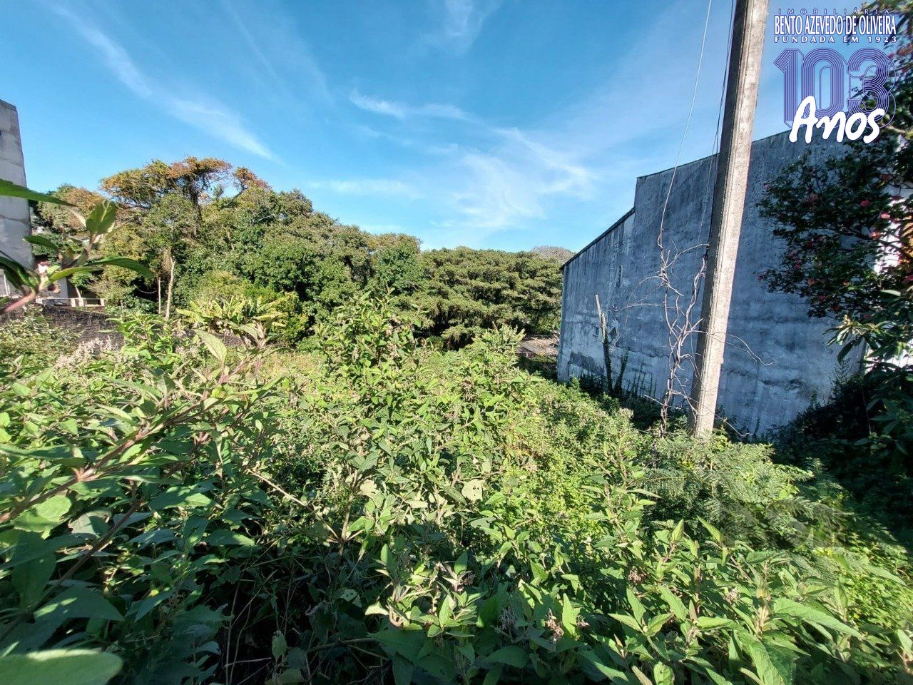 Terreno, 1360 m² - Foto 10