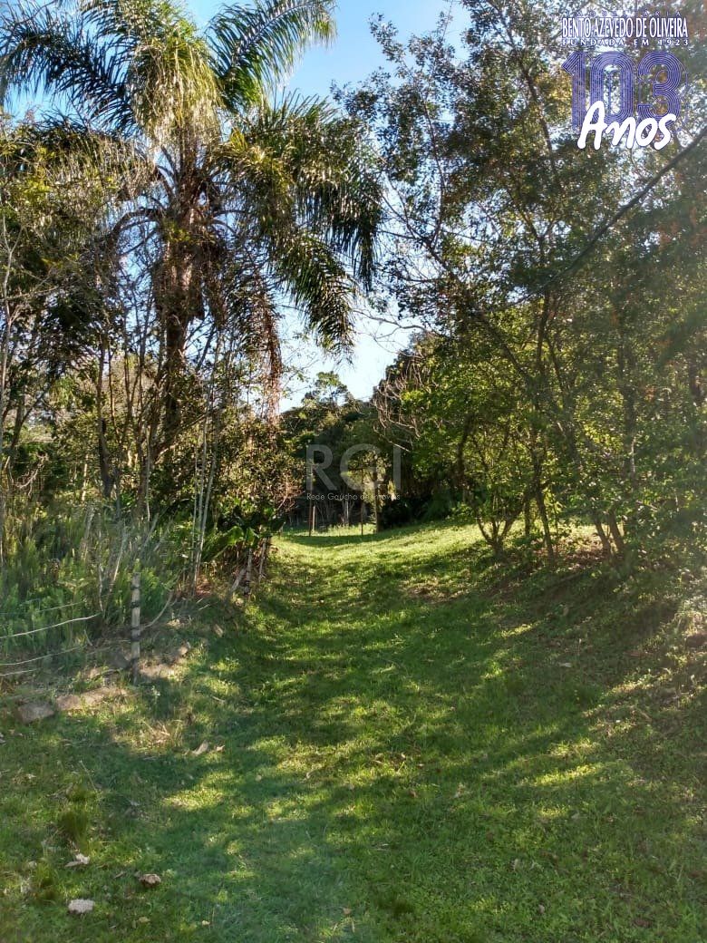 Terreno, 4 hectares - Foto 4
