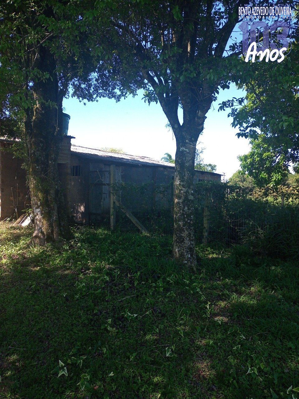 Chácara, 2 quartos, 2 hectares - Foto 45