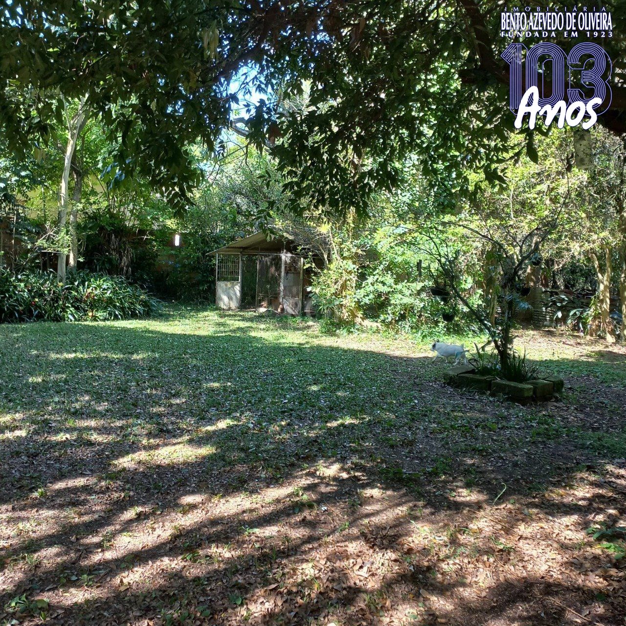 Terreno, 520 m² - Foto 18