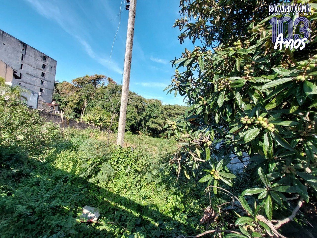 Terreno, 1360 m² - Foto 11