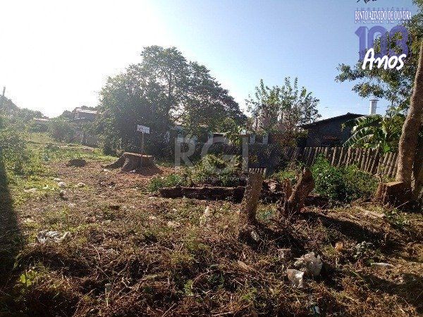 Terreno, 300 m² - Foto 6