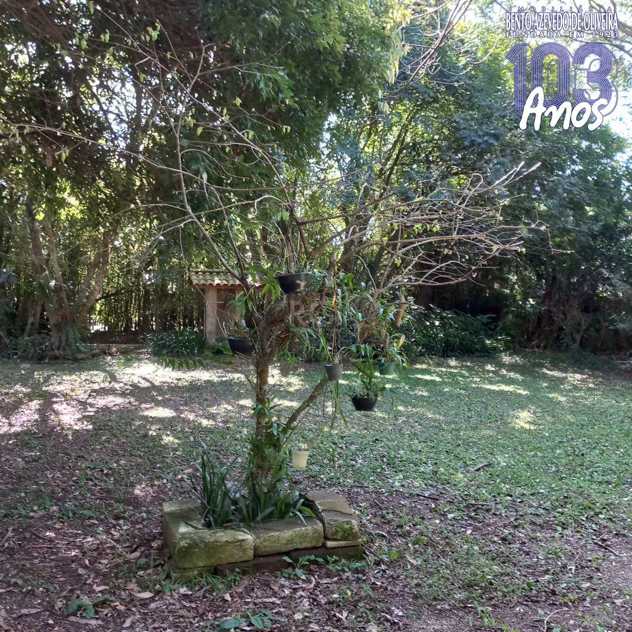 Terreno, 520 m² - Foto 16