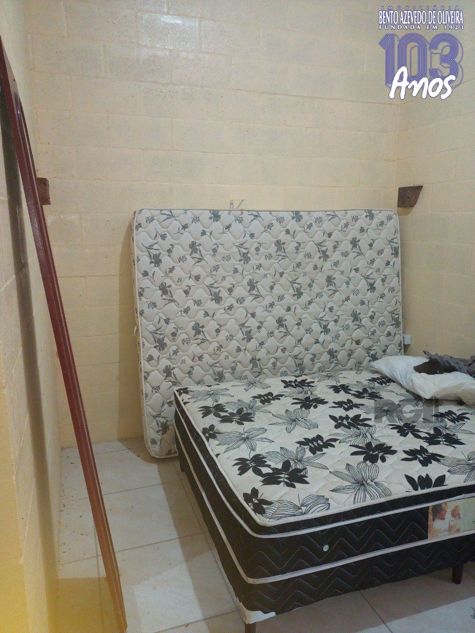 Chácara, 2 quartos, 2 hectares - Foto 23