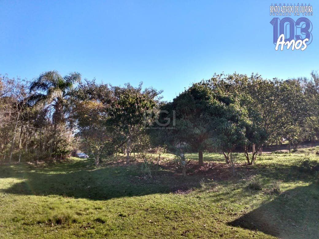 Terreno, 4 hectares - Foto 6