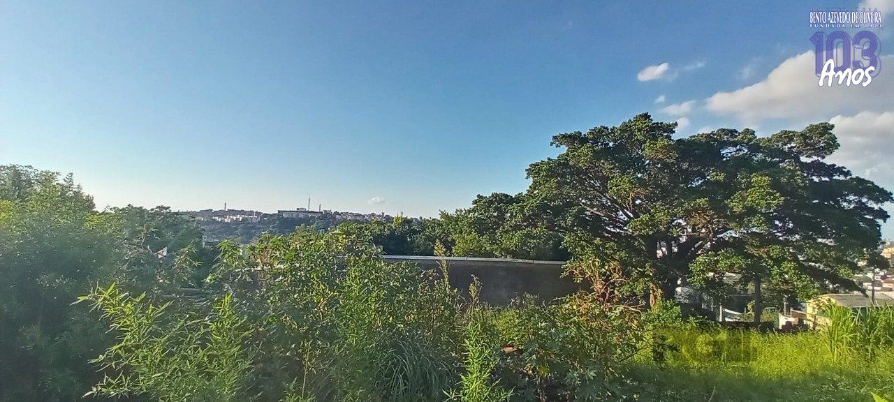 Terreno, 2468 m² - Foto 7