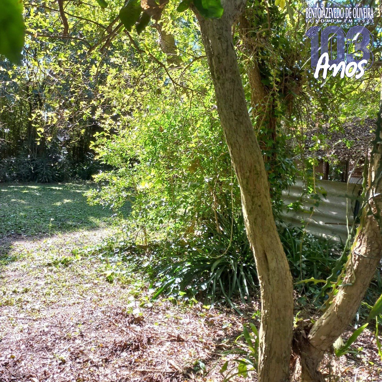 Terreno, 520 m² - Foto 12