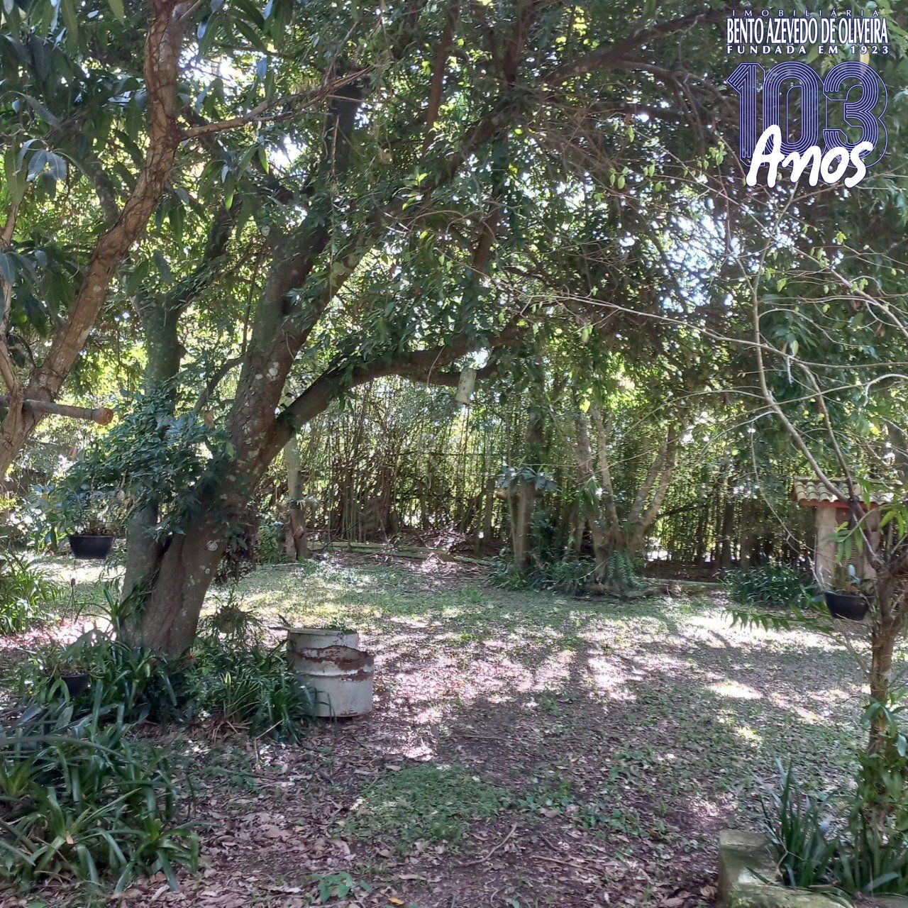 Terreno, 520 m² - Foto 11