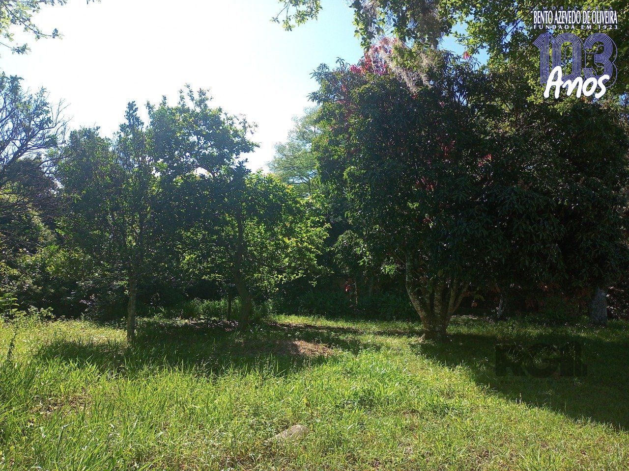 Chácara, 2 quartos, 2 hectares - Foto 88