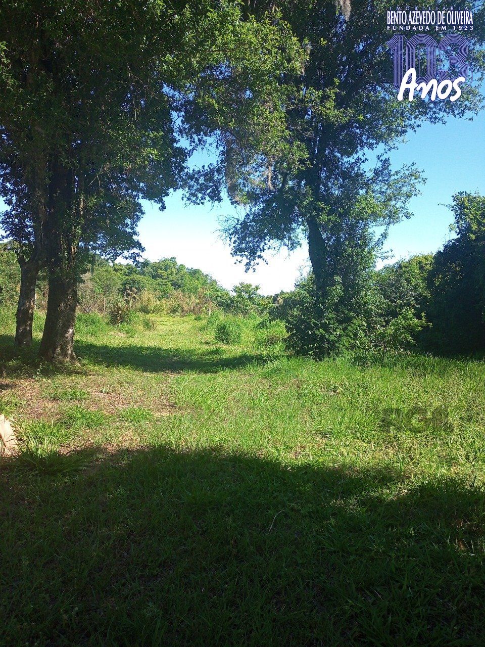 Chácara, 2 quartos, 2 hectares - Foto 87