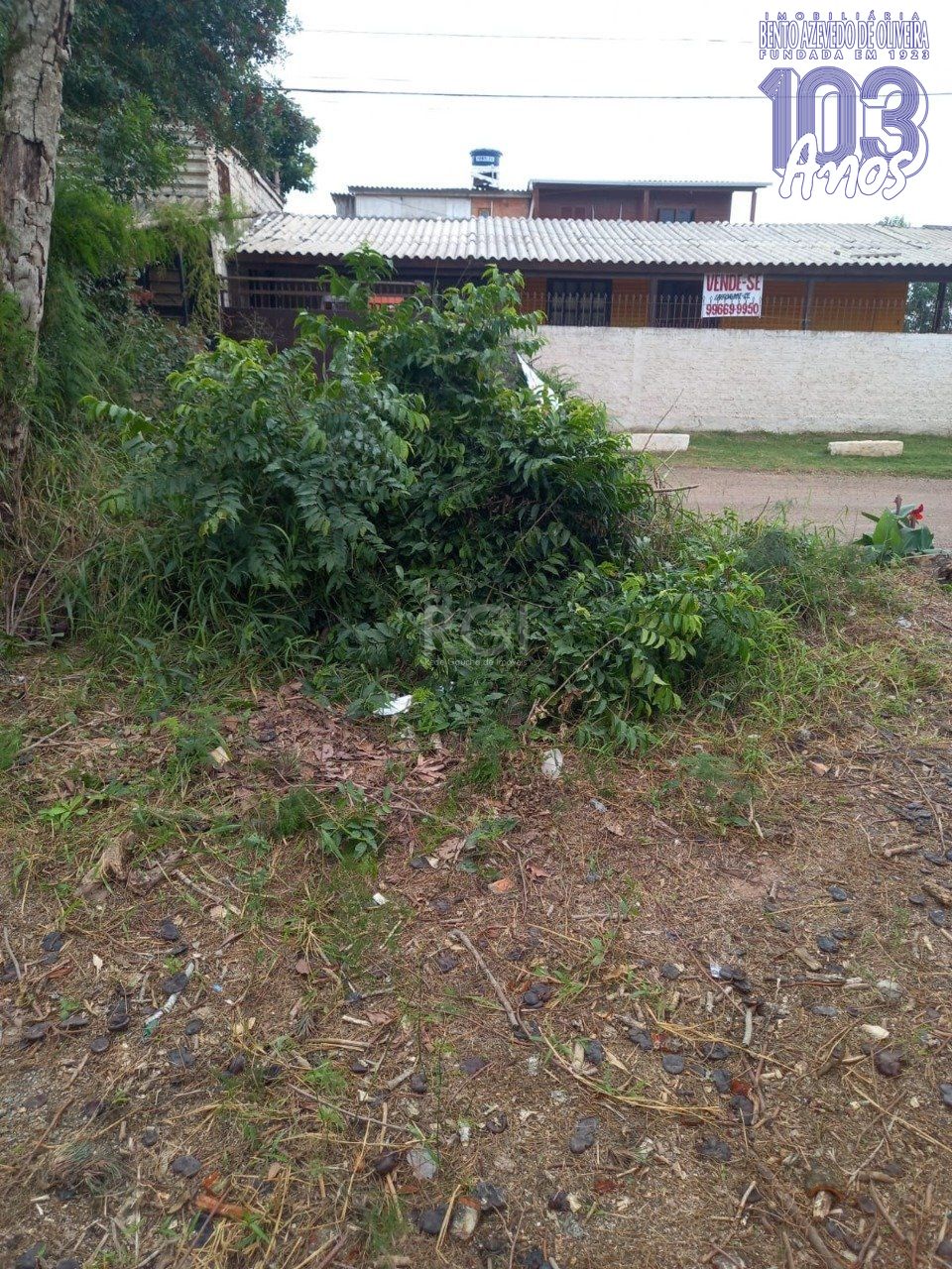Terreno, 300 m² - Foto 5