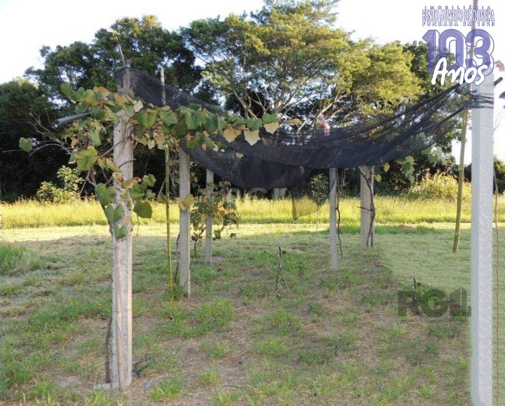 Chácara, 2 quartos, 2 hectares - Foto 32