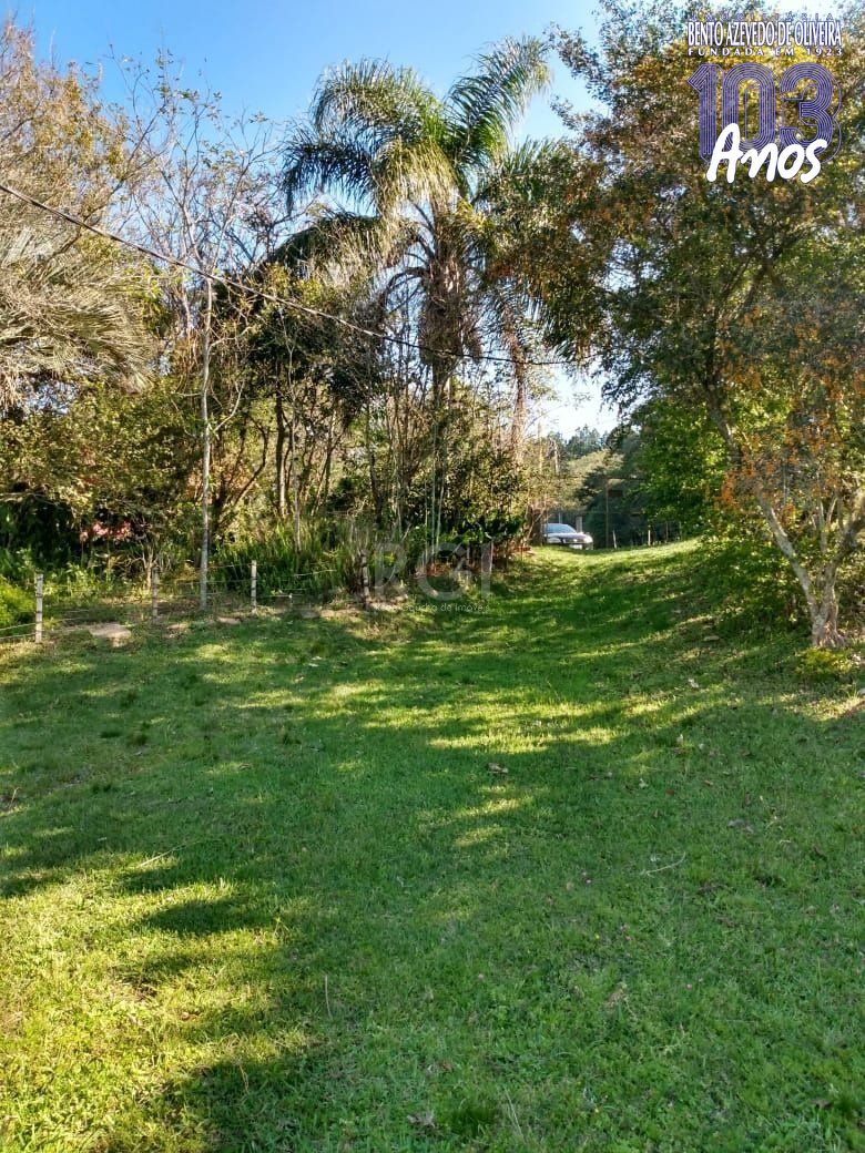 Terreno, 4 hectares - Foto 1