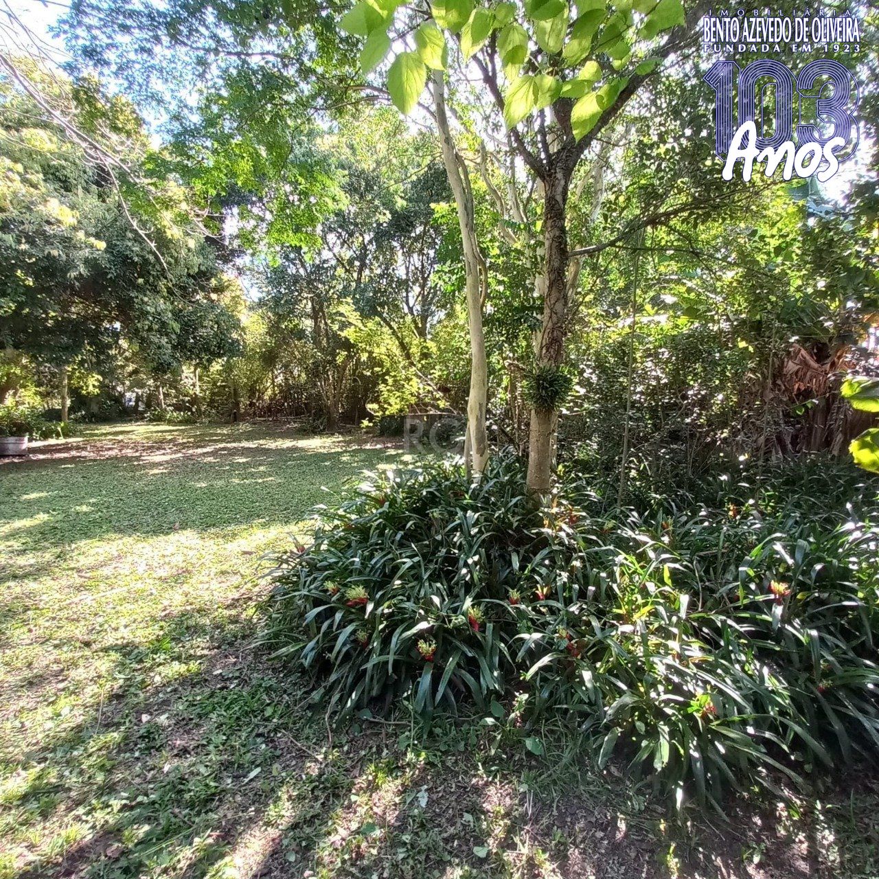 Terreno, 520 m² - Foto 7