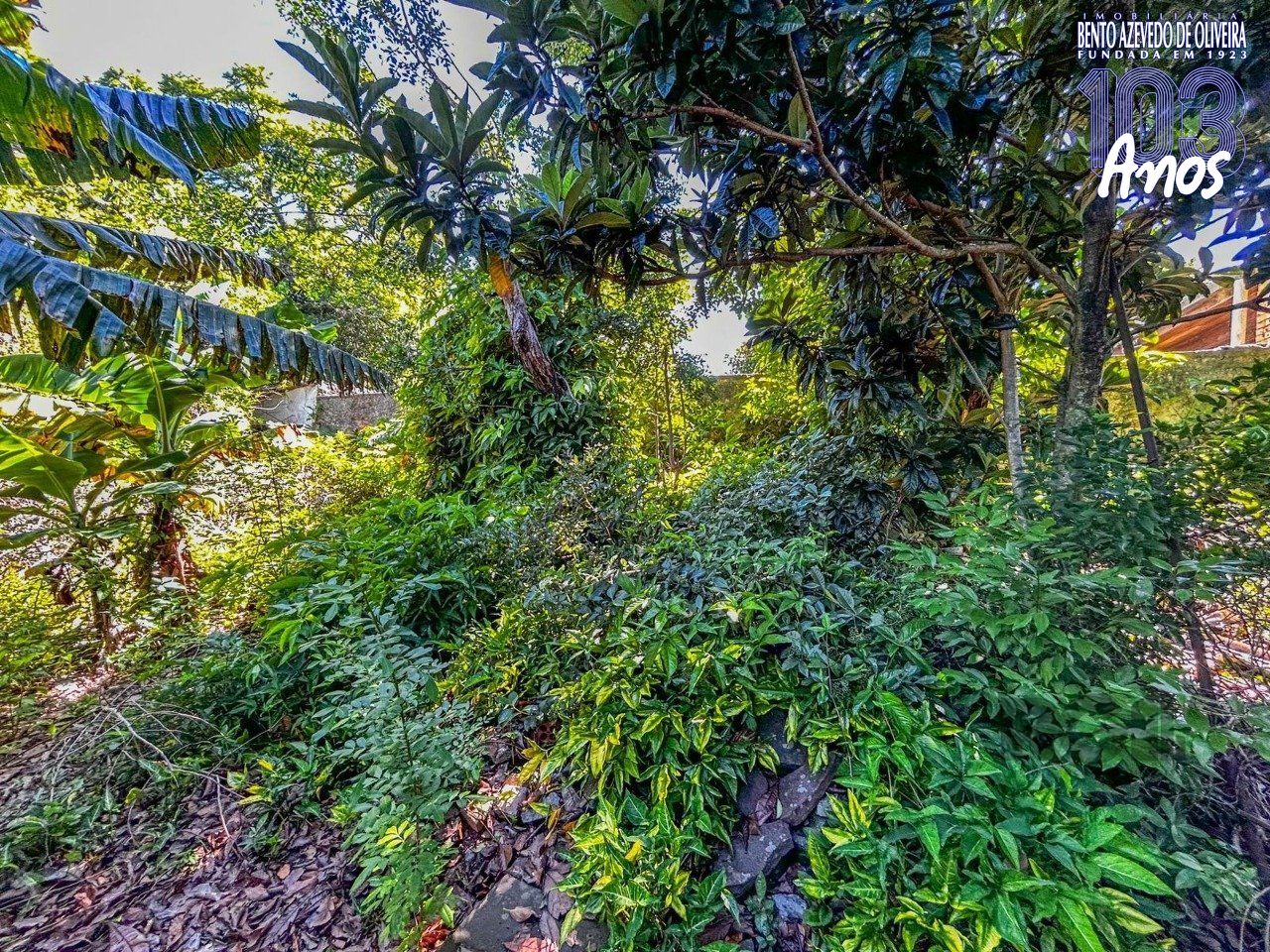 Terreno, 1045 m² - Foto 11