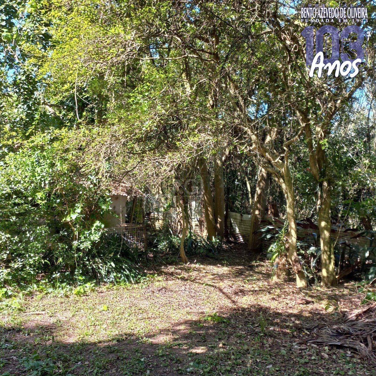 Terreno, 520 m² - Foto 20