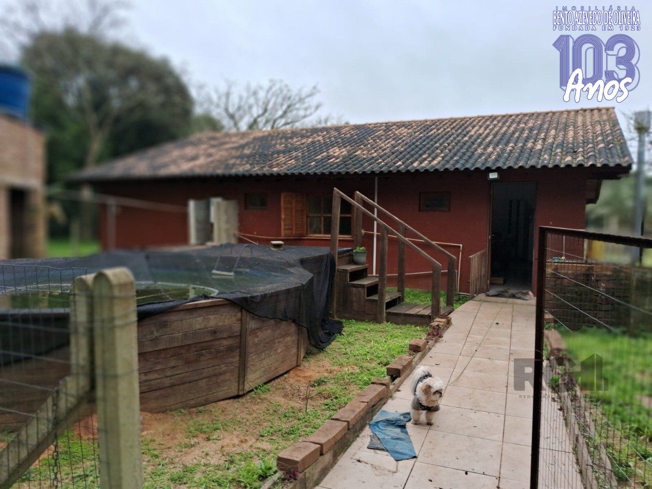 Chácara, 2 quartos, 2 hectares - Foto 4